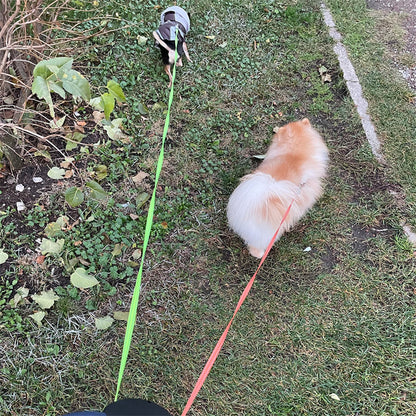 🐾 Dual Retractable Dog Leash 💡 | 360° Swivel, Reflective Tangle-Free Walking Lead for Small Dogs 🐶