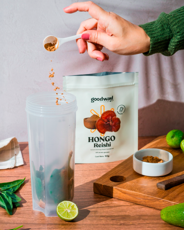 HONGO REISHI Extracto en polvo